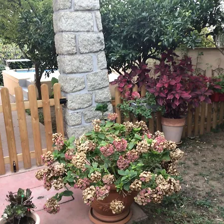 Entre Et Montagnes Apartment Ceret