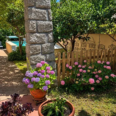 Entre Et Montagnes Appartement Céret