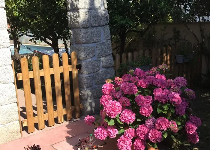 Entre Et Montagnes *